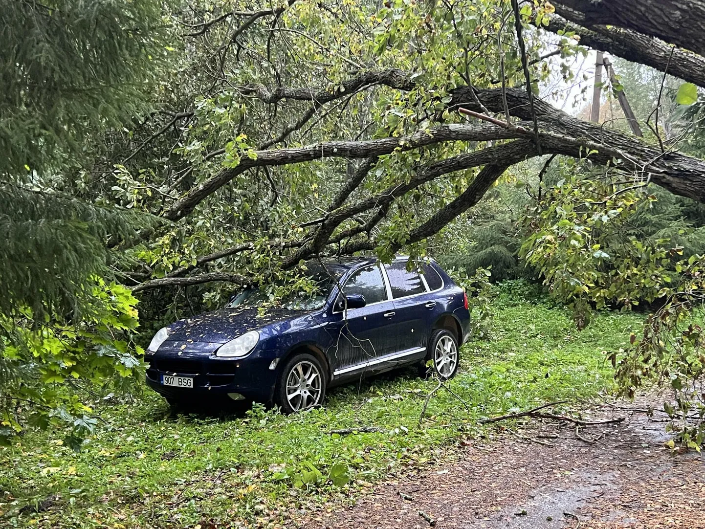 Tugevad tuuled paiskasid Viitna külas puu auto peale. Suuremast kahjust päästis elektriliin, millele suur puu toetuma jäi.