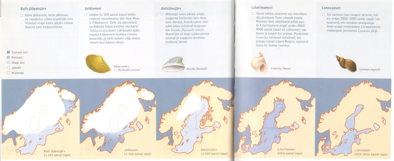 MAGALATUUR MUINAS-ÕISMÄEL Eelajaloolisel Õikal elasid neandertallased ...