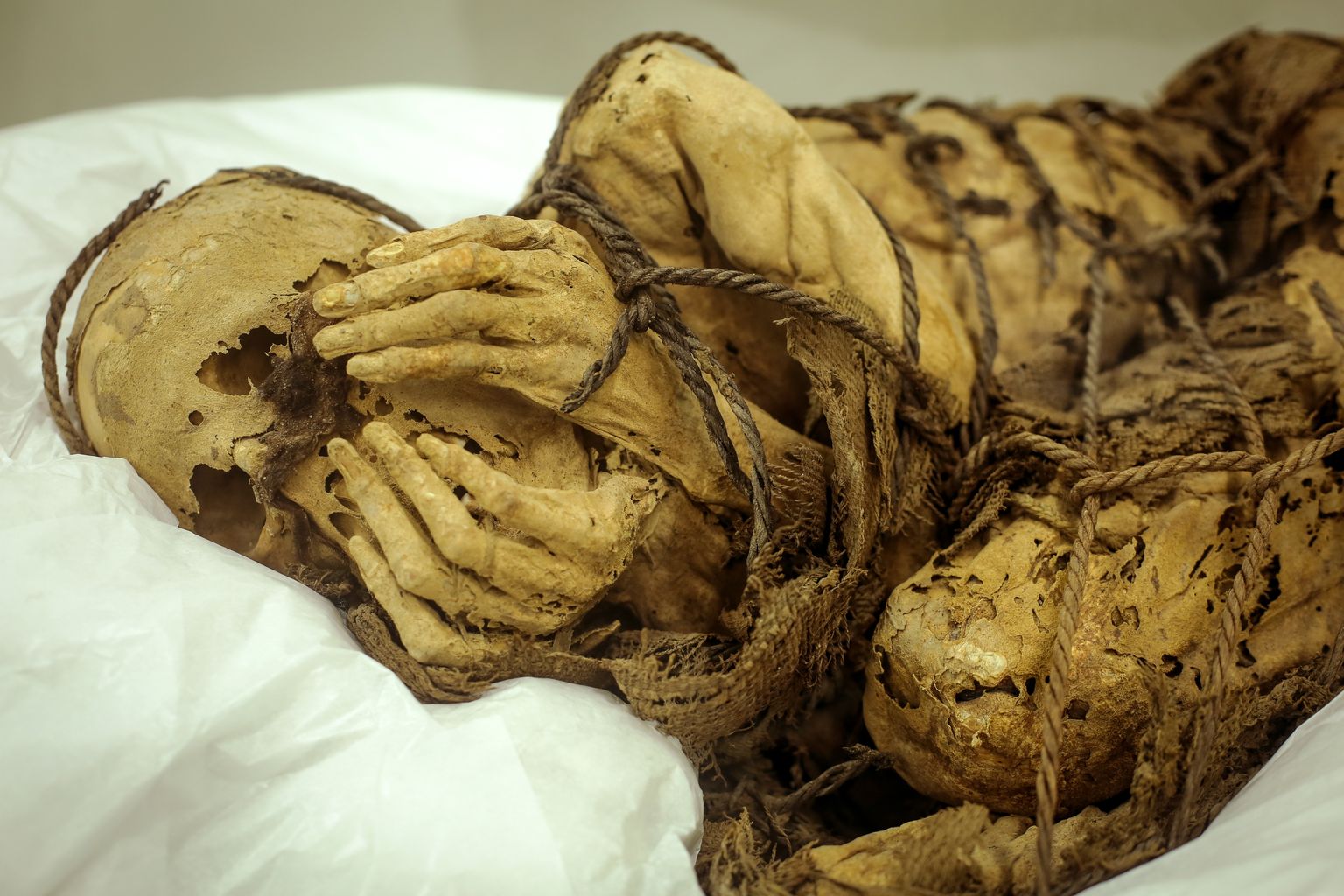 Peruust Cajamarquillast leitud kinniköidetud muumia. Tegemist on mehega, kes maeti umbes 1000 aastat tagasi