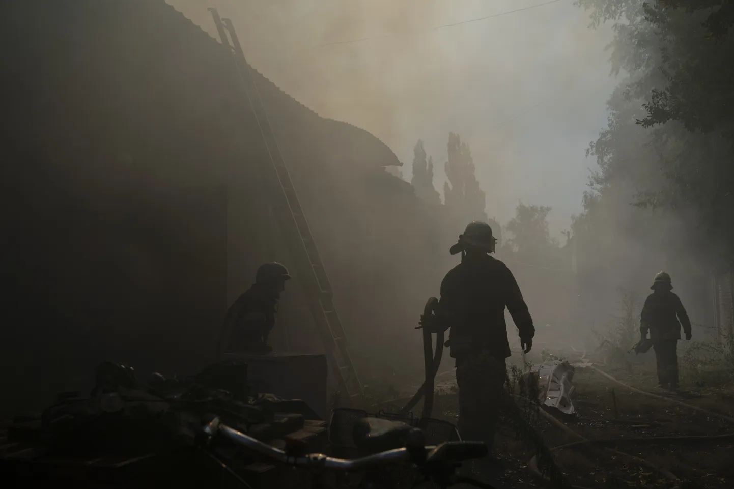 Фото статьи
