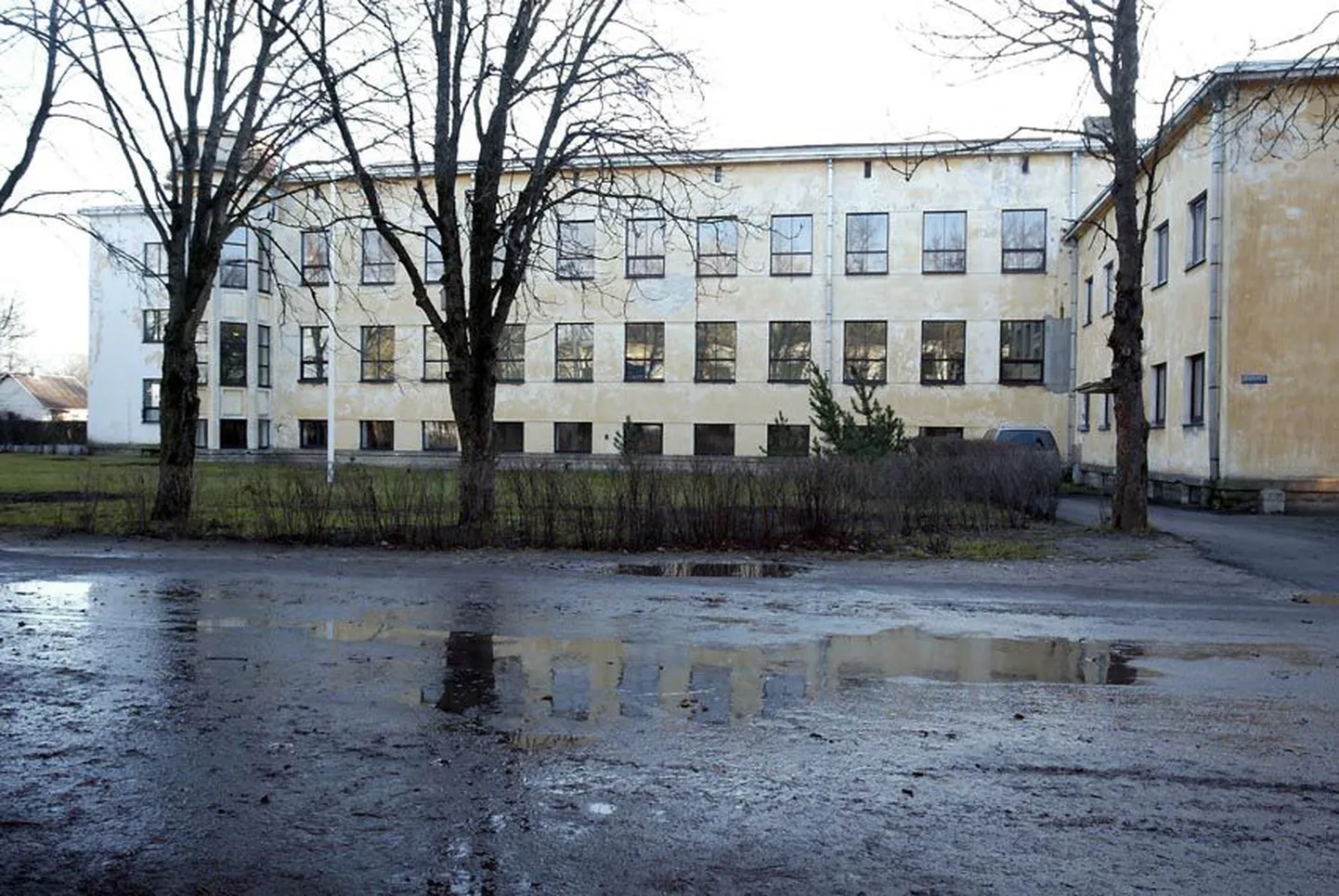 Artikli foto