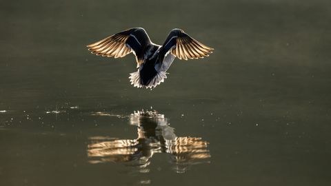 Ночью температура воздуха опустится до -5 градусов