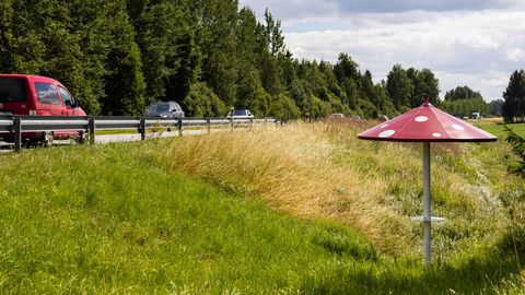 LIBA-SAKALA ⟩ Kui hästi te olete eluga kursis 2026. aasta suve lõpus?