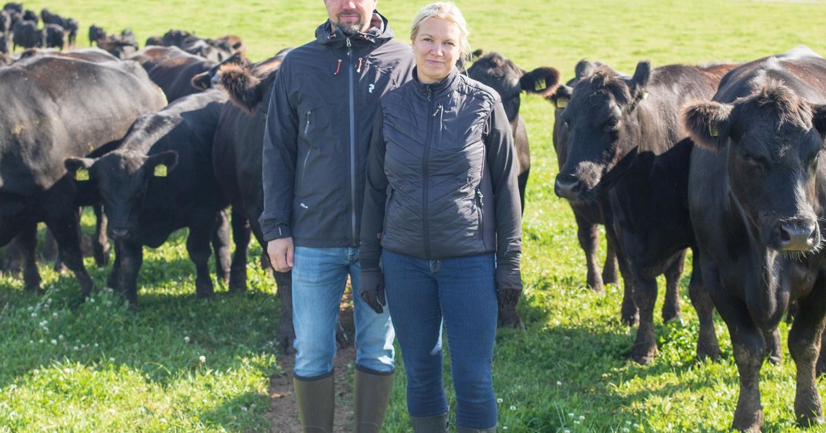 Parimaks põllumeheks pürgivad ka Valgamaa talunikud