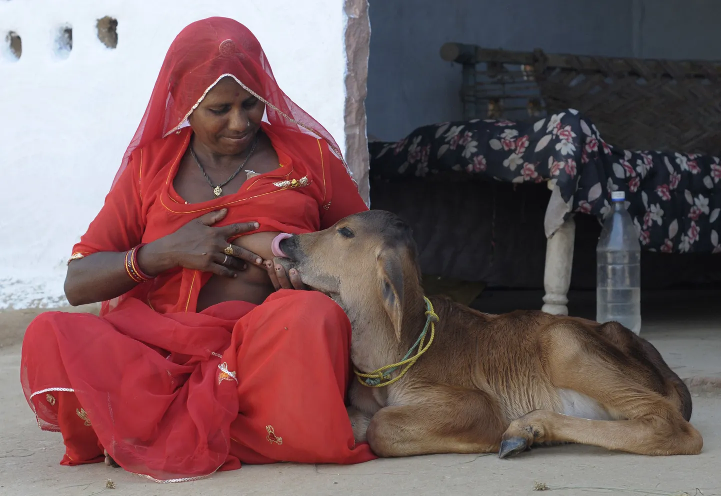 Indialanna Chouthi Bai toidab vasikat rinnaga