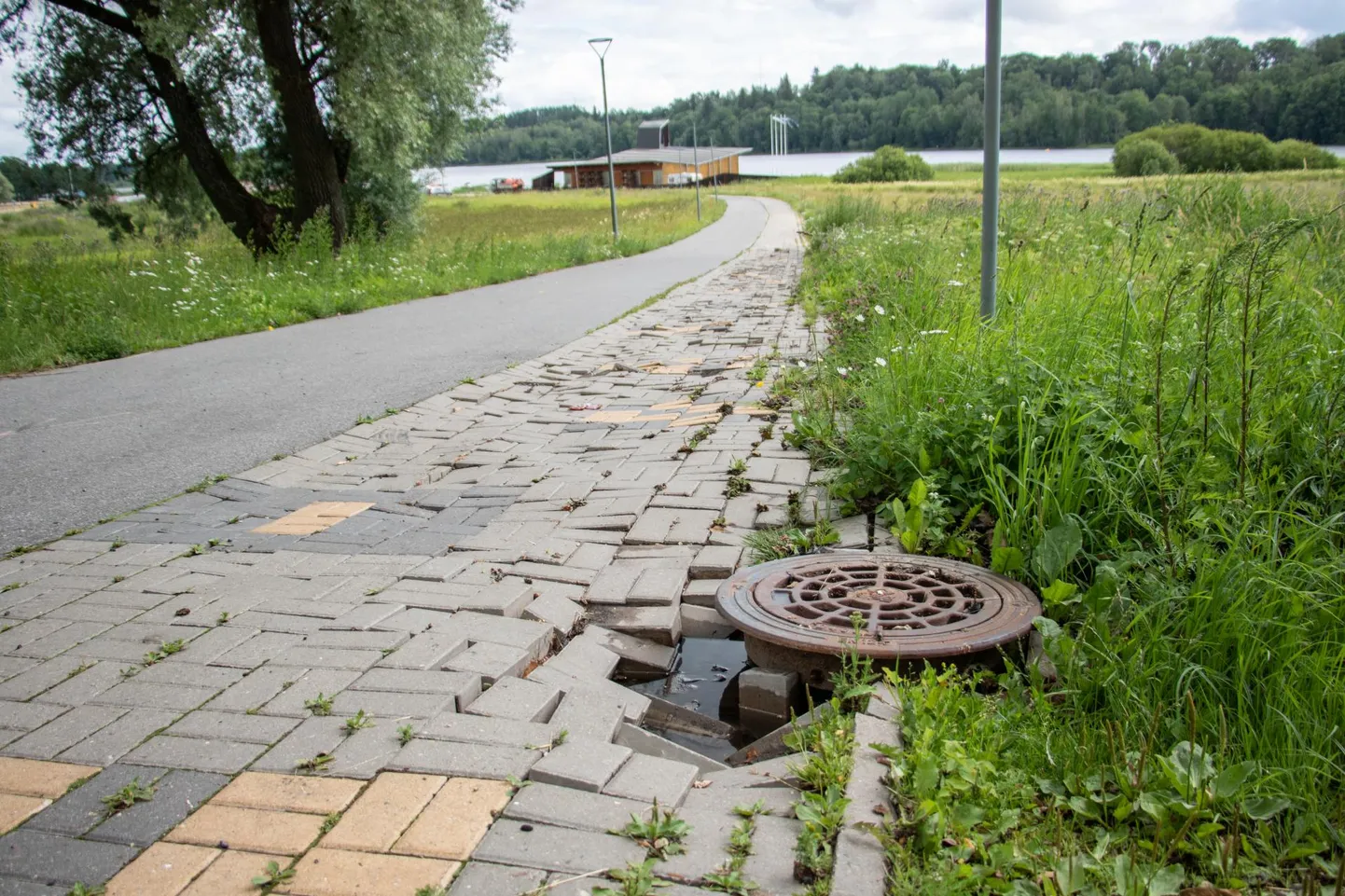 Vihm lükkas Viljandis kivisillutise paigast ära.