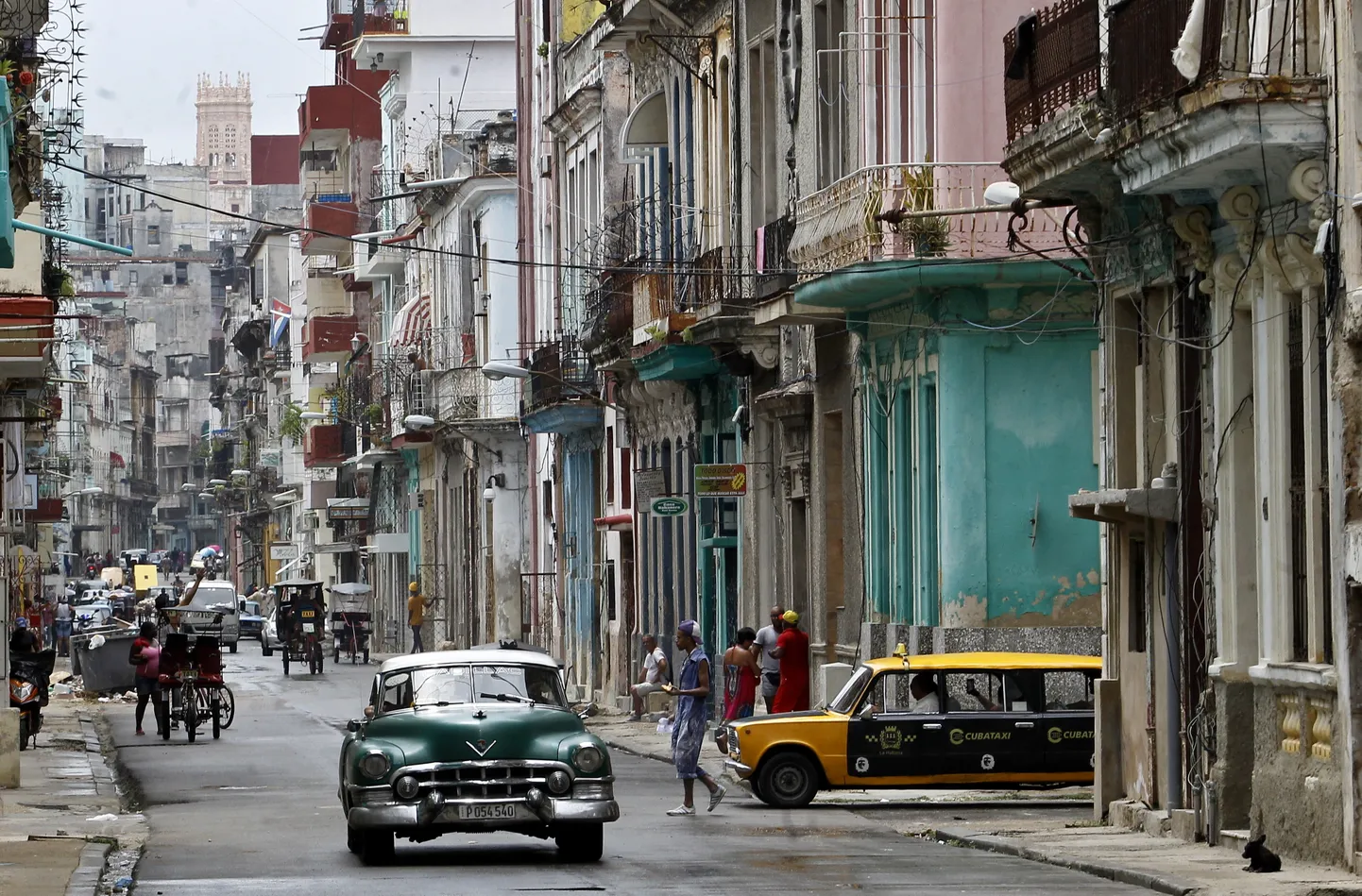 Havana