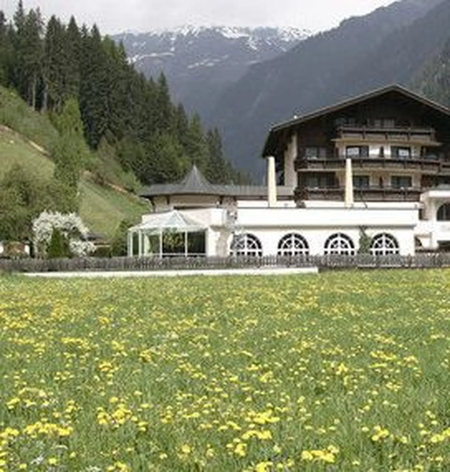 Austria küla jagab elanike juurdemeelitamiseks tasuta maad