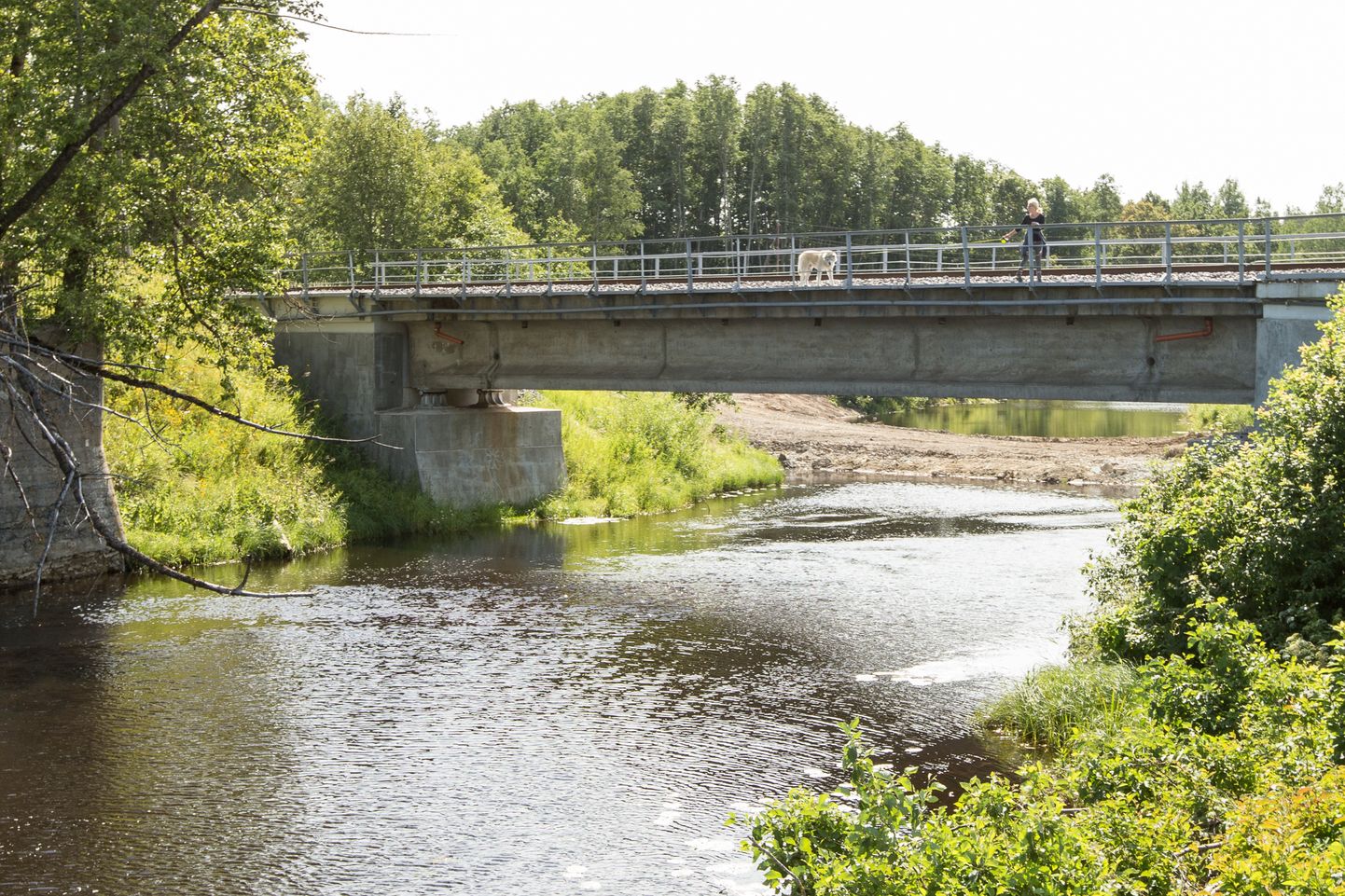 Pärast reostusest puhastamist on Purtse jõgi ka kaugemalt tulijatele ligitõmbavam.