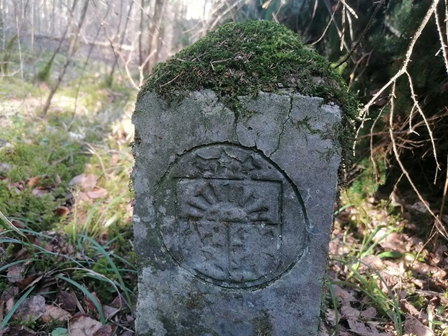 Vēsturiskais dzelzceļa joslas robežstabiņš.