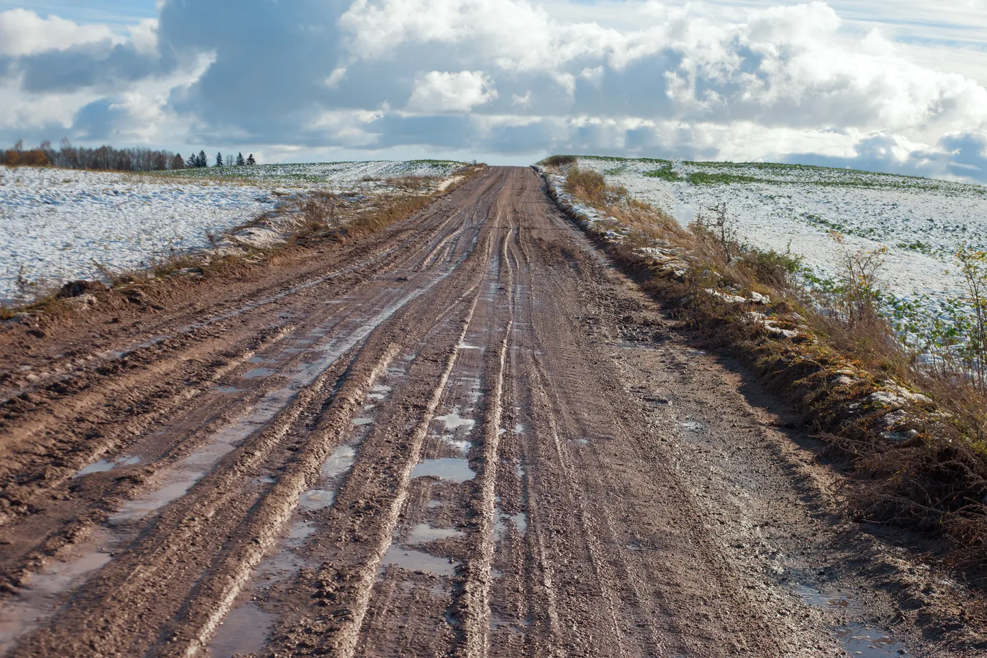 Raksta foto