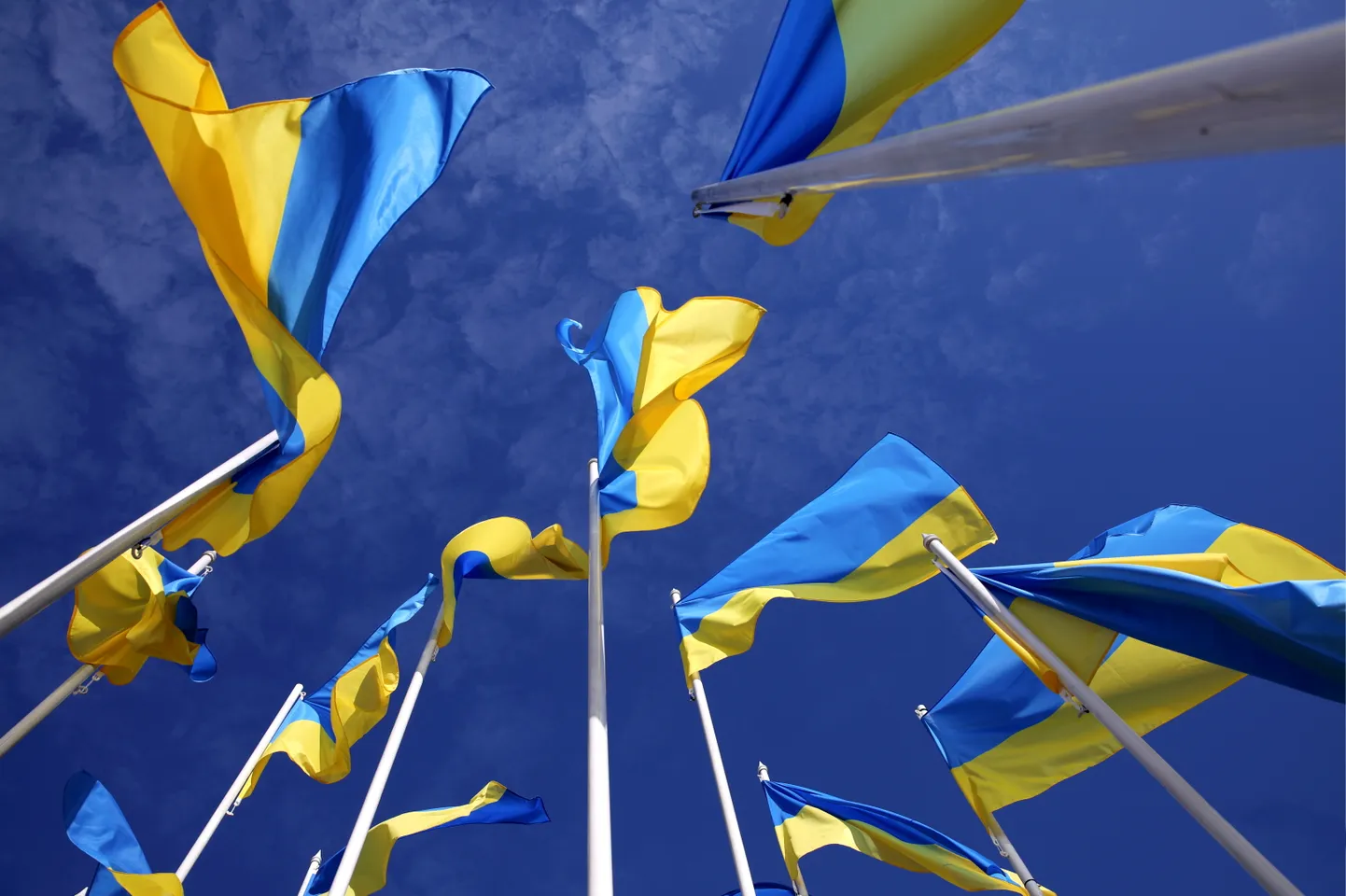 Флаг Украины