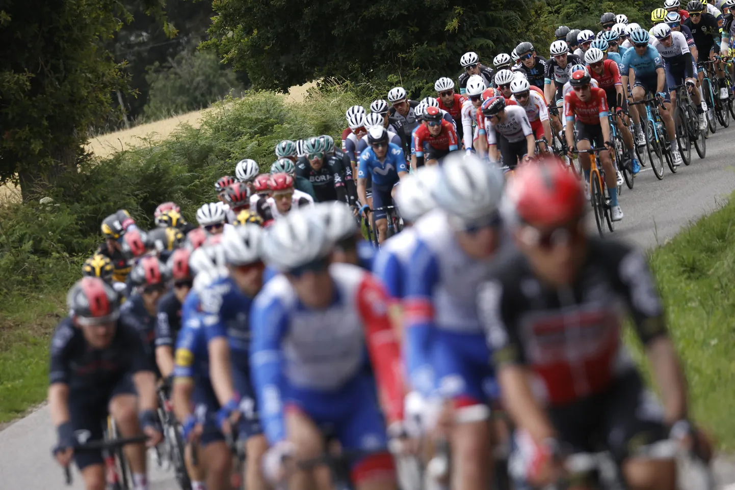 Ratturid Tour de France'il. Pilt on illustratiivne.
