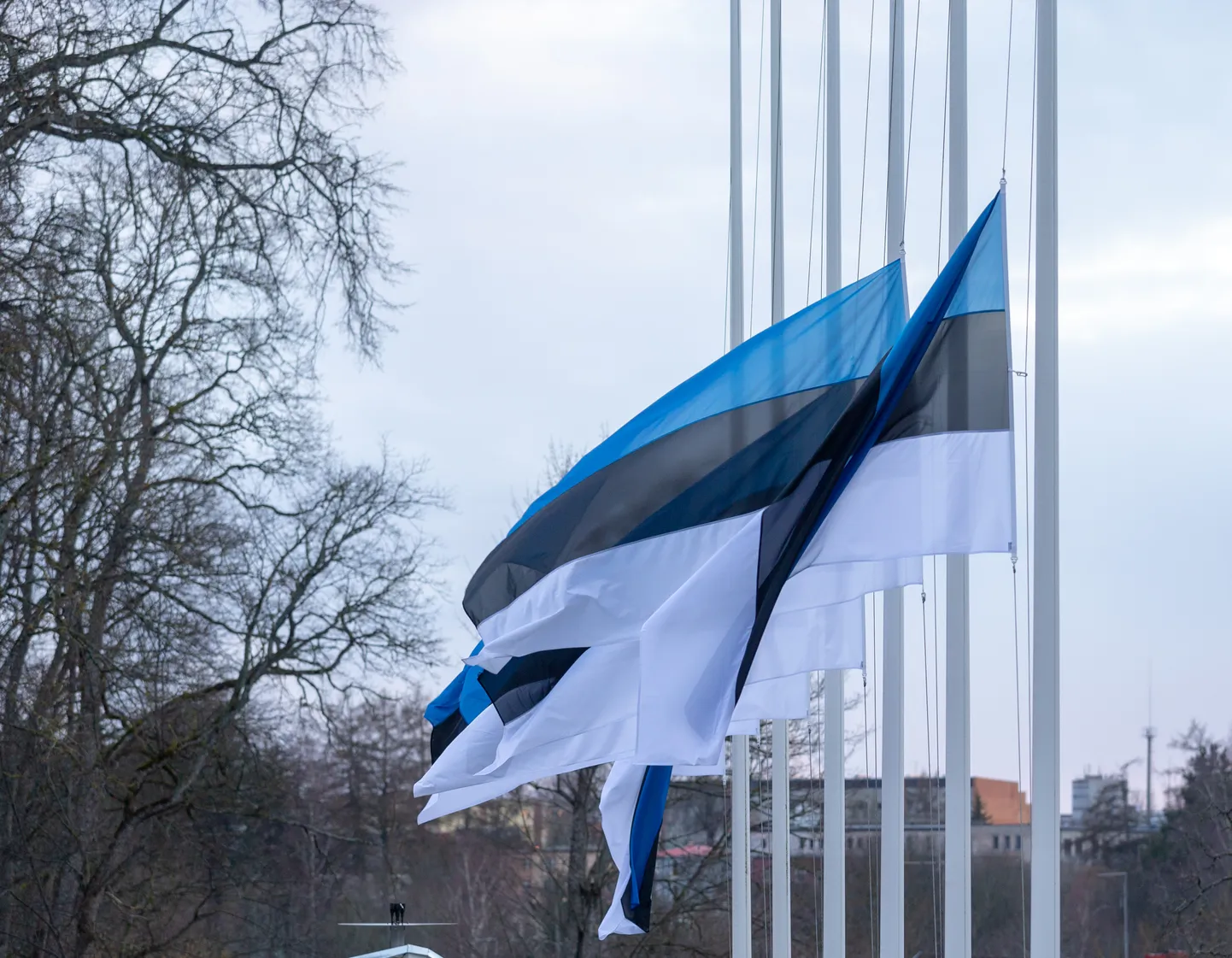 Märtsipommitamise aastapäeval on lipud pooles mastis.