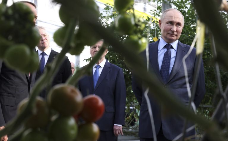 Venemaa president Vladimir Putin külastas 5. märtsil 2024 Edela-Venemaad Stavropoli, kus käis ka kohalikus tomatikasvatusfirmas Solnetšnõi Dar.