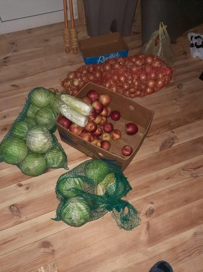 Linnapoest õnnestus saada üht-teist söödavat.