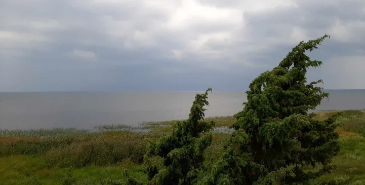 JUHTKIRI Torm kui õppetund