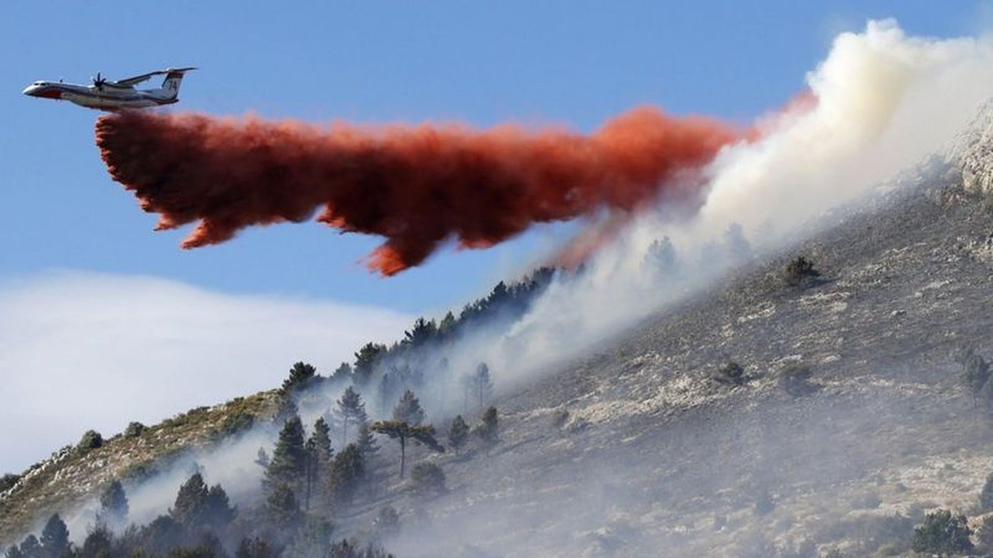 Участившиеся лесные пожары и прочие катаклизмы ученые называют прямым следствием изменения климата.