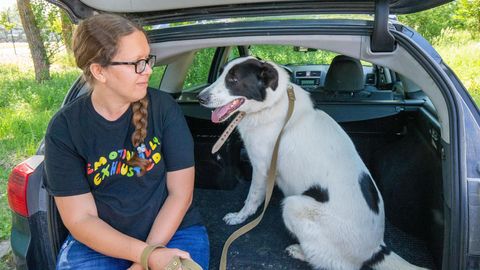 Varjupaik otsib inimesi, kes viiks koeri autoga sõitma
