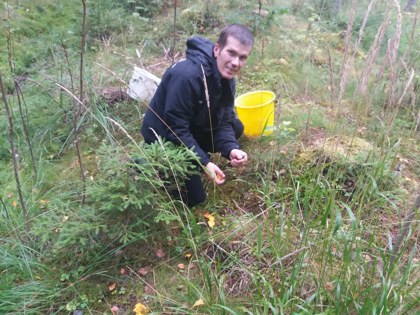 Jüri Bolonenkov on vilunud korjaja, keda ei heiduta vihm. Pigem segab päike seente leidmist.