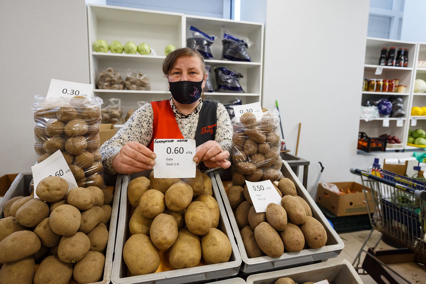 "Valgevene kollane" − turundusnipp narvalastele: see kartulisort on  Valgevenes aretatud, kuid kartul on kasvatatud ikka Eestis.
