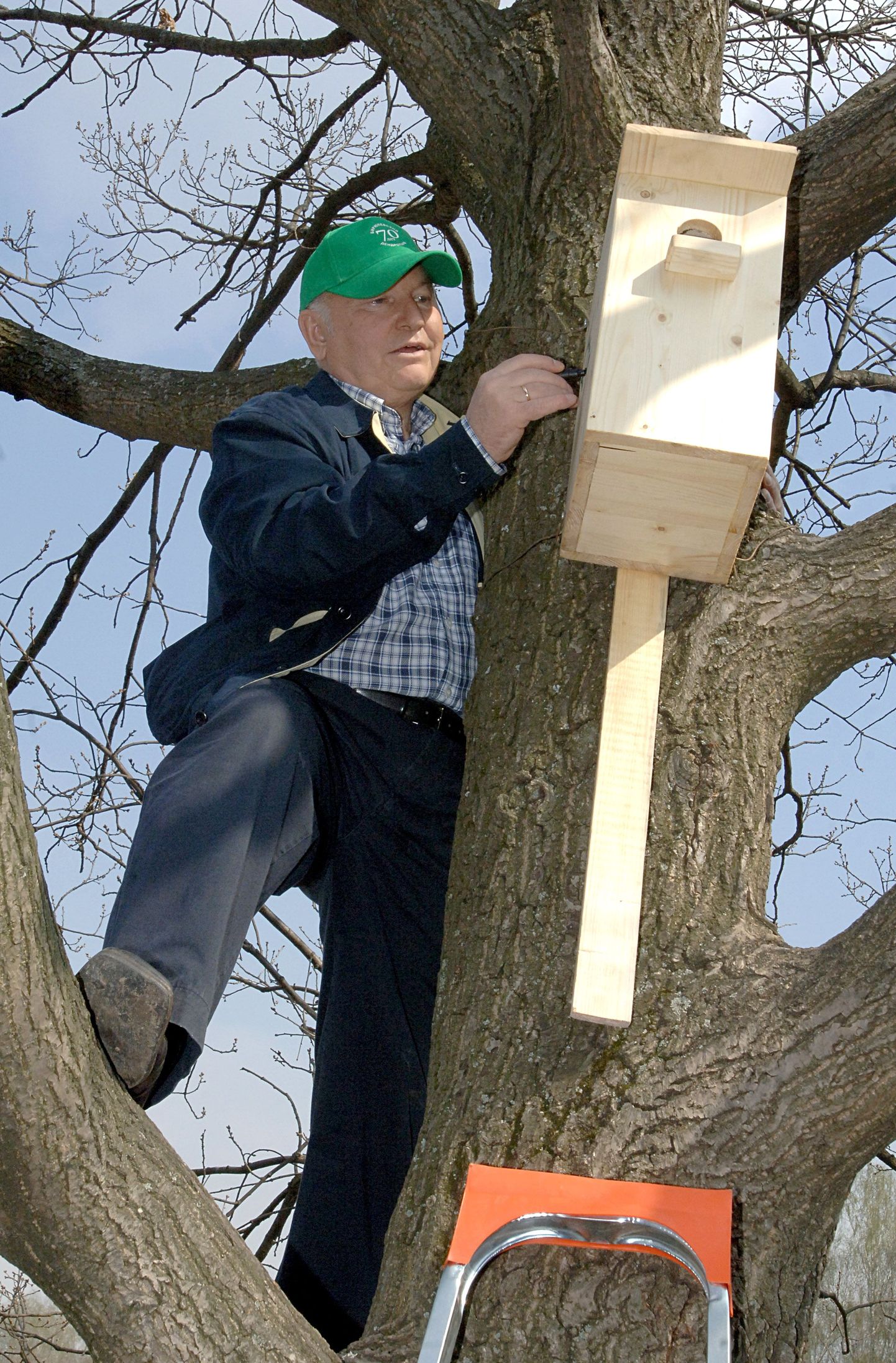 Juri Lužkov kinnitab puu otsa pesakasti.