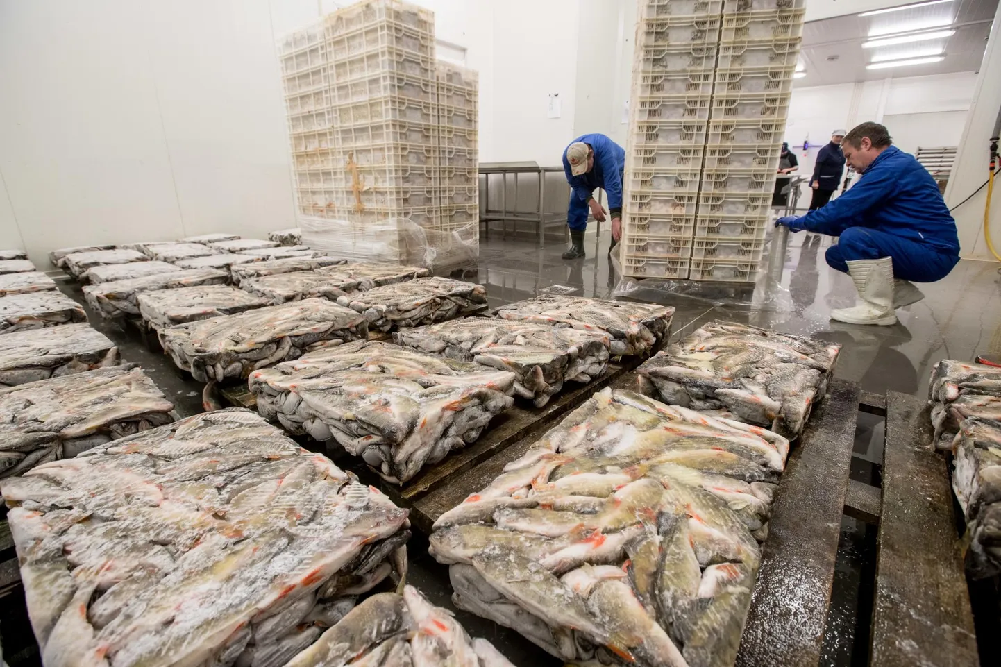 Maaeluministeeriumi selgituse kohaselt oli seekordse kontrolli eesmärk vaadata, kas Eestis on varasemaid märkusi arvesse võetud.