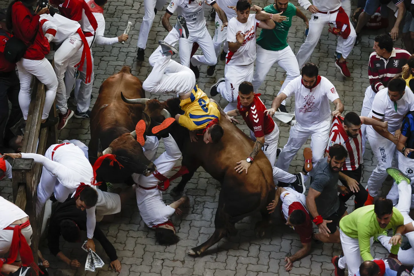 Viies Pamplona härjajooks kaheksast.