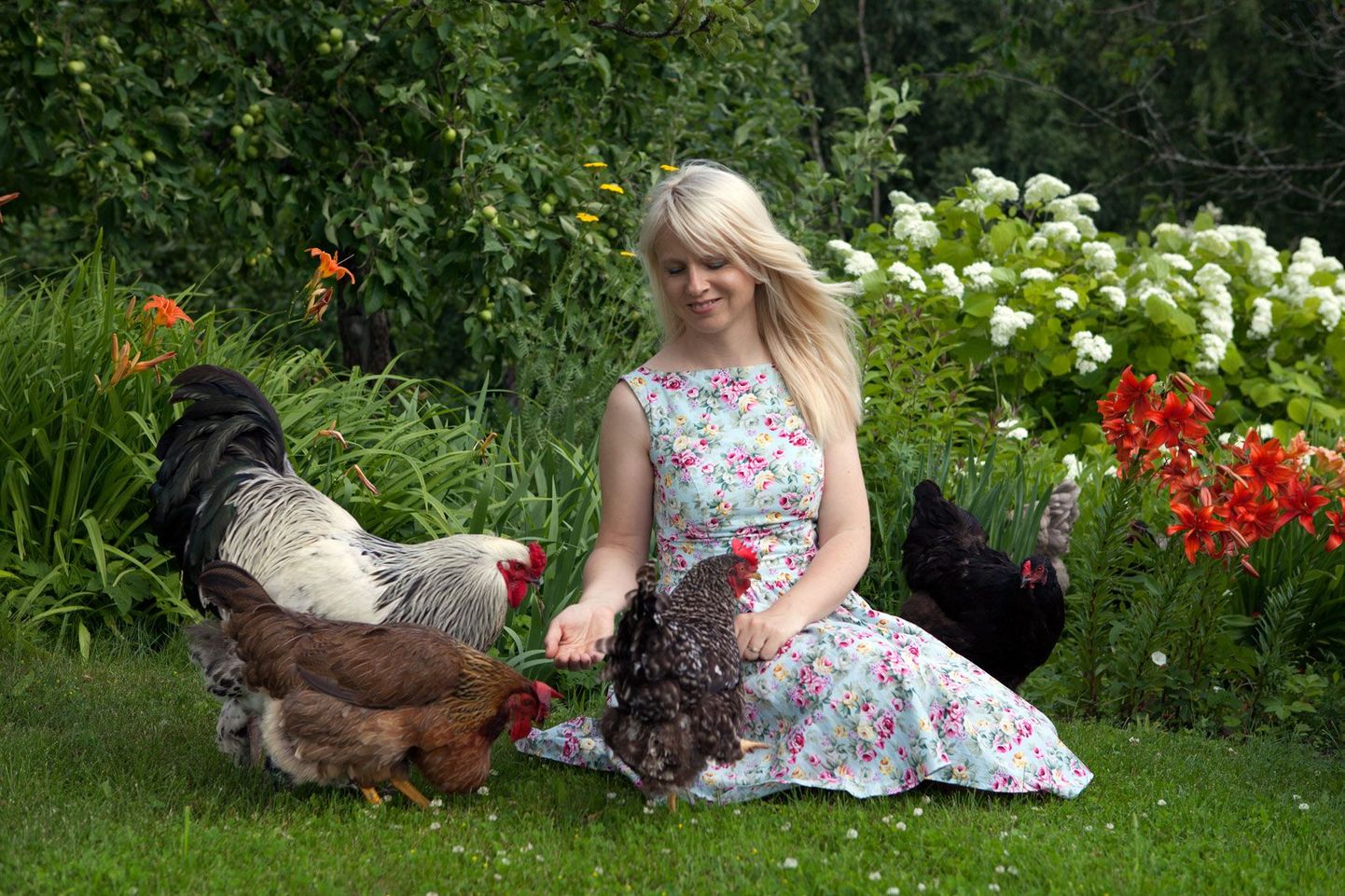 Vabalt peetavate Braama kanade puhul
ei pea kartma, et nad lillepeenraid rüüstaks.