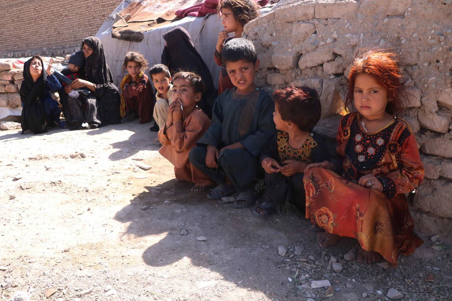 Afganistani sisepõgenikest lapsed poseerivad fotograafile Herati lähistel asuvas ajutises varjupaigas. ÜRO pagulasamet pelgab, et lääneriikide sõdurite lahkumise järel jäävad afgaanid veel suuremasse ohtu. 