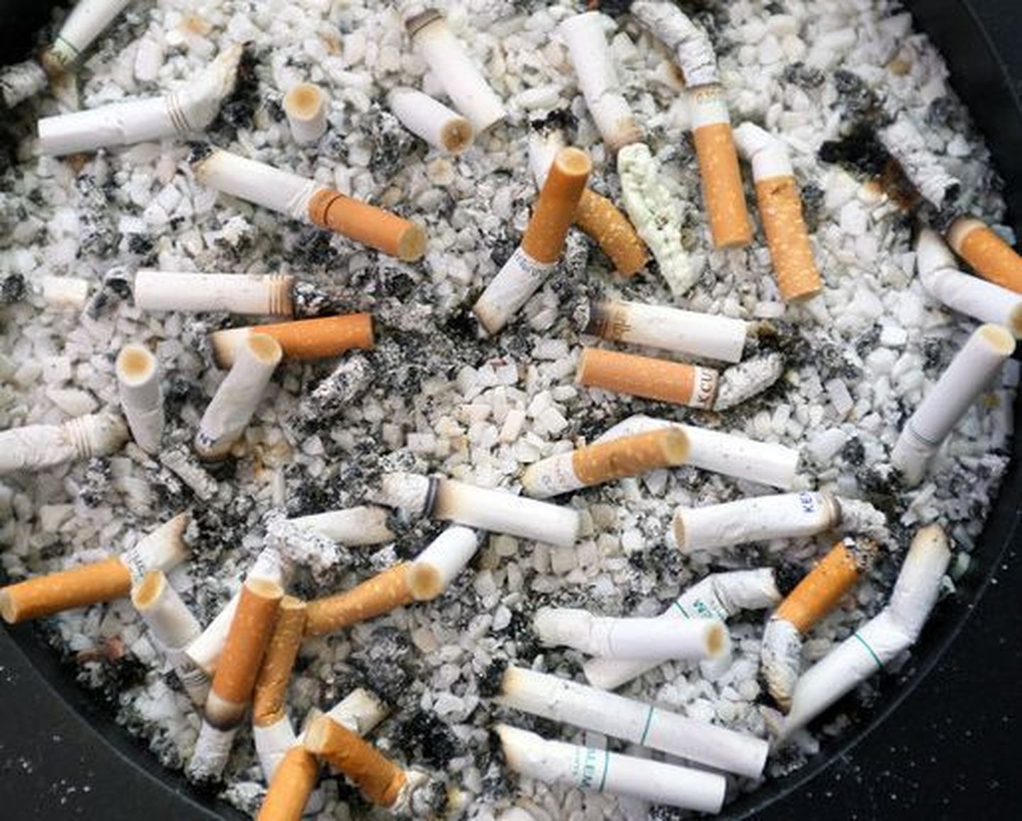 Õpetaja sundis õpilast ära suitsetama 42 sigaretti