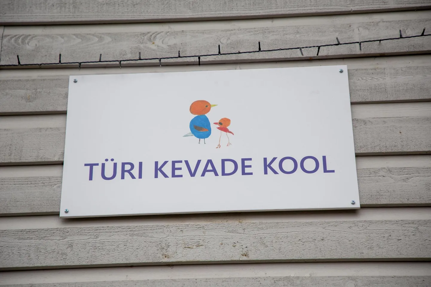 Artikli foto