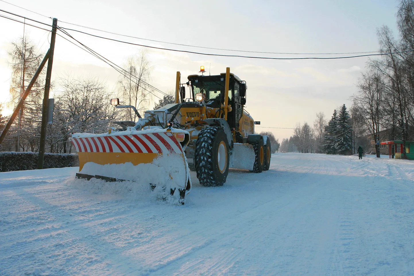 Lumekoristus Viljandimaal Halliste külas.