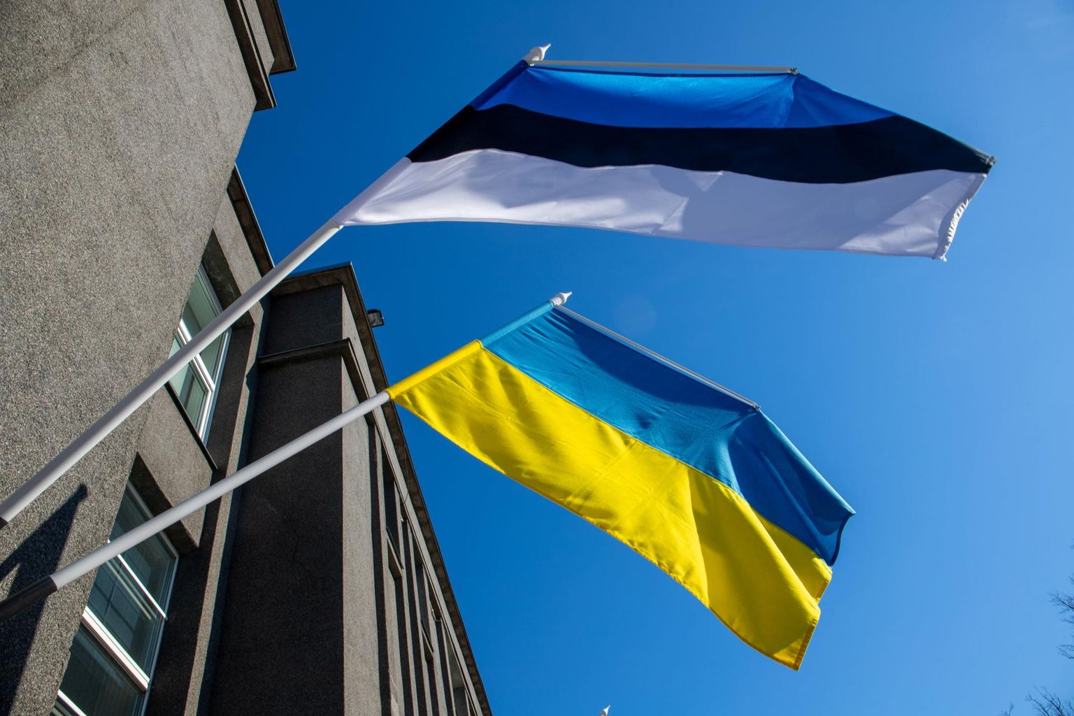Eesti ja Ukraina lipp lehvivad lootusrikkalt kõrvuti.