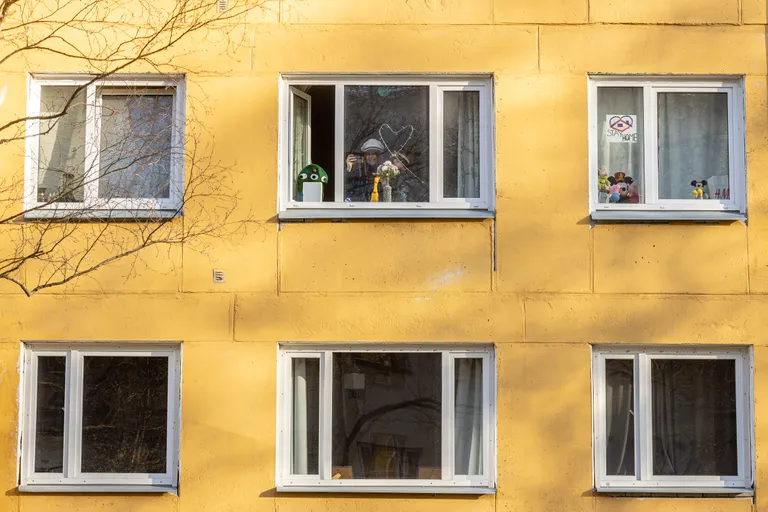 Фото статьи