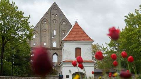 Pirita kloostri ajalugu: kus peitub vastus miniviktoriaani küsimusele?