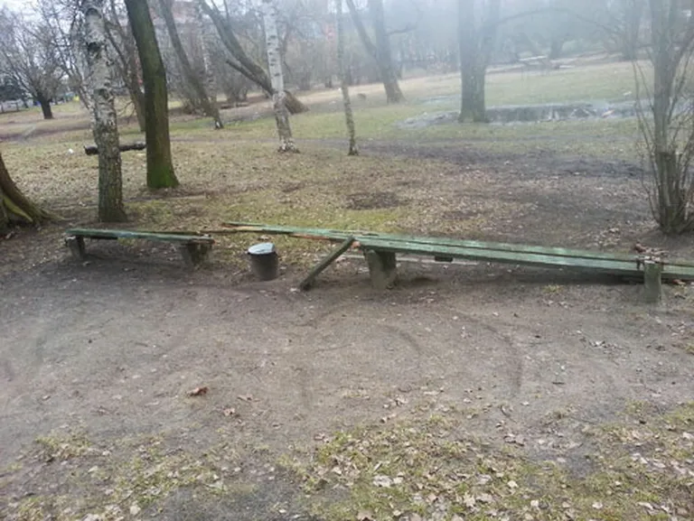Raksta foto