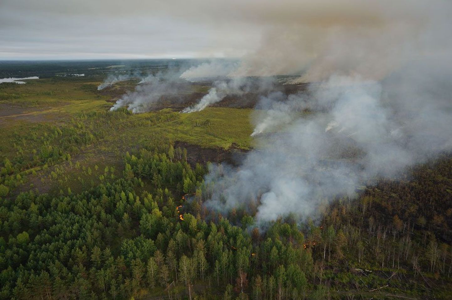 Helikopteriga tehtud vaatluslennul tuvastati, et rabapinnas põles 145 hektari ulatuses.