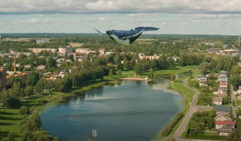 Paala järve vaal lennuhoos.