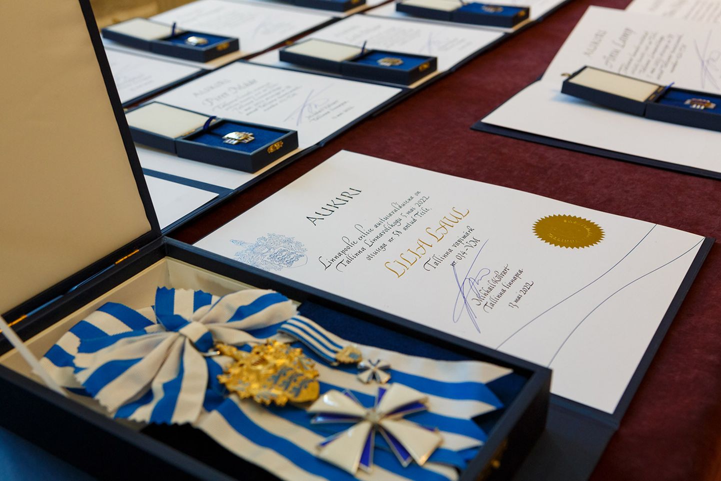 Мэр Таллинна Михаил Кылварт наградил лауреатов этого года знаком отличия и гербовым знаком Таллинна.