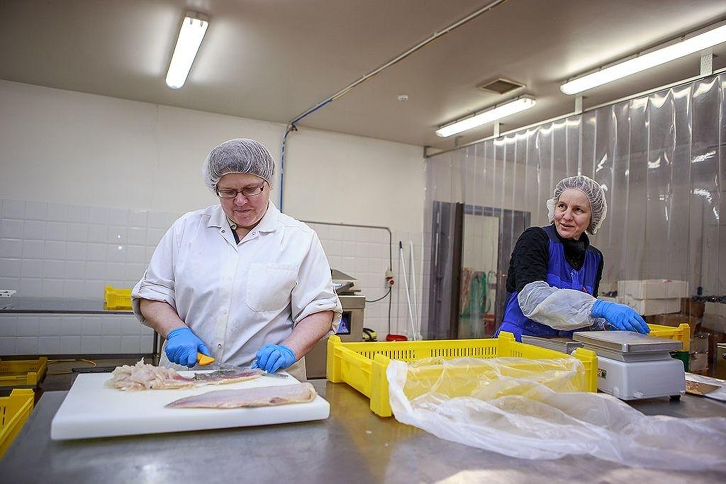 Muude ametite seas leiab Pärnumaal tööd ka kalatöötleja.