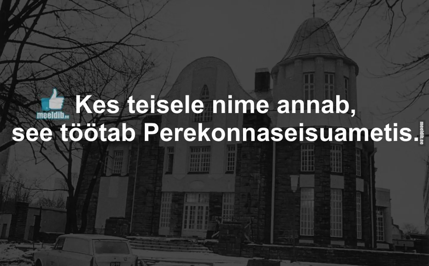 Artikli foto