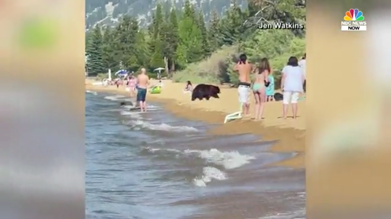 Karupere veetis rannas lõbusalt aega.
