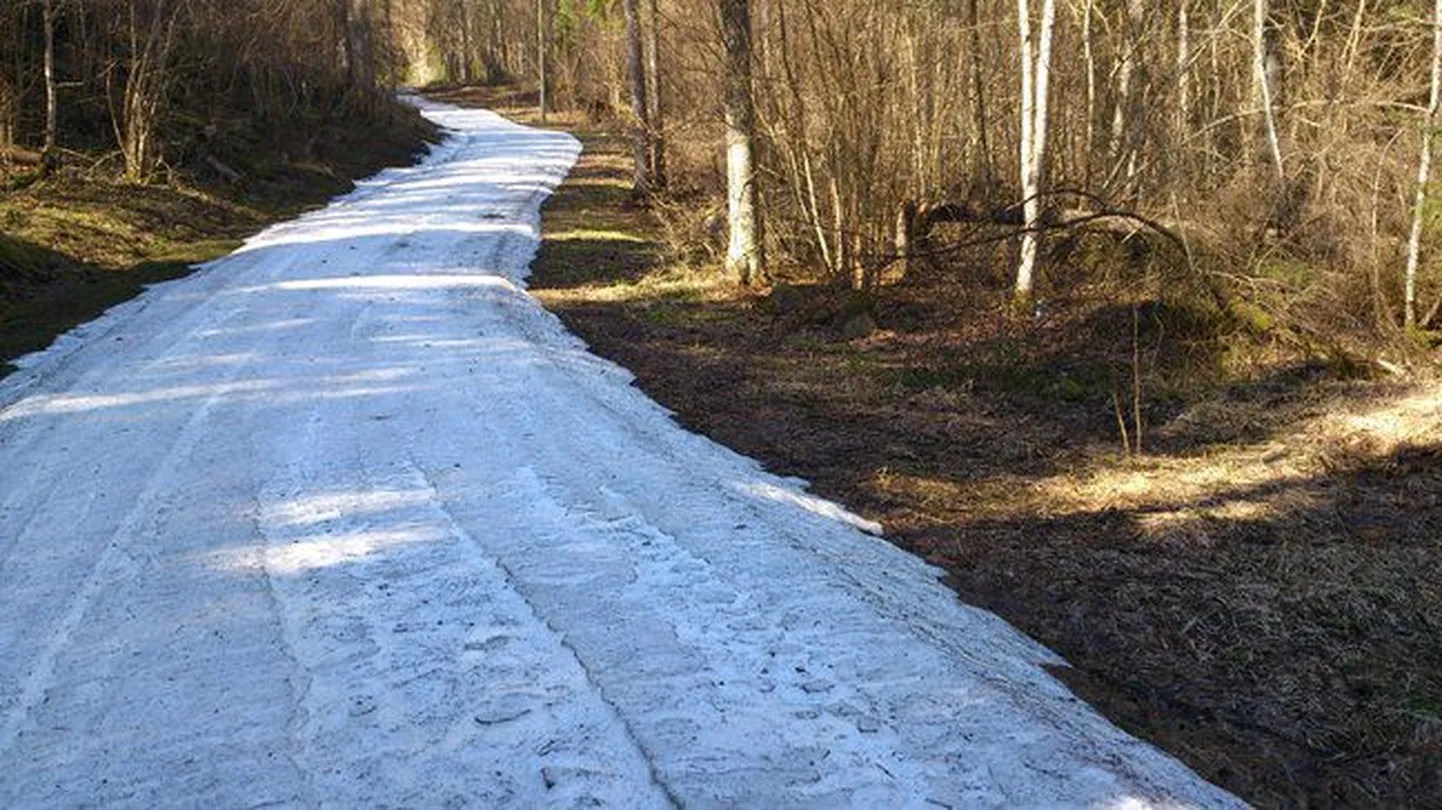Holstre-Polli suusaradadel oli ikka veel lumi.