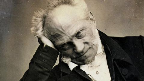Schopenhauer's Principles of Debate and Propaganda Explored