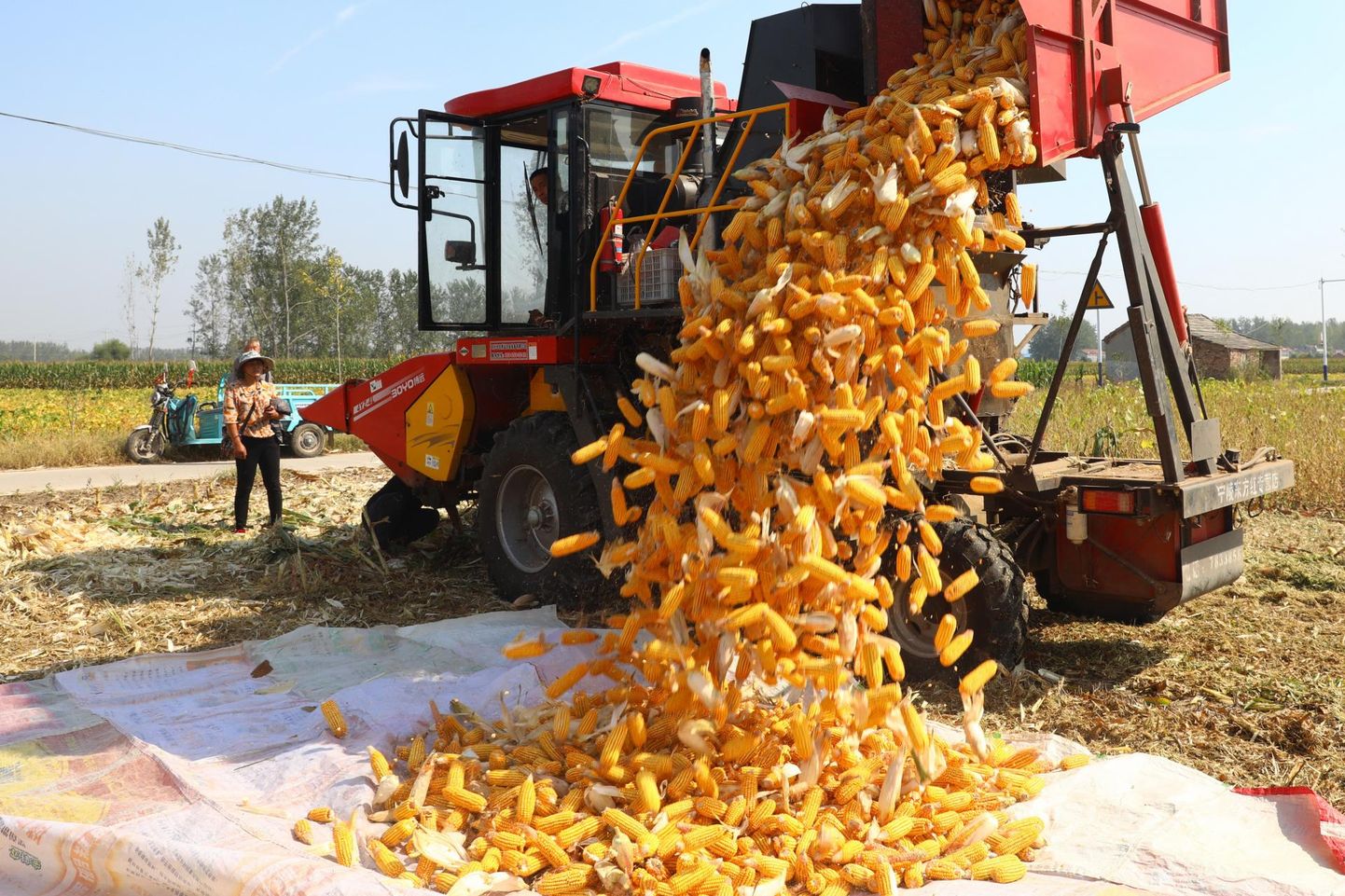 Hiinas Anhui provintsis koristasid põllumehed septembris maisi ja sojaube 160 000 hektarilt.