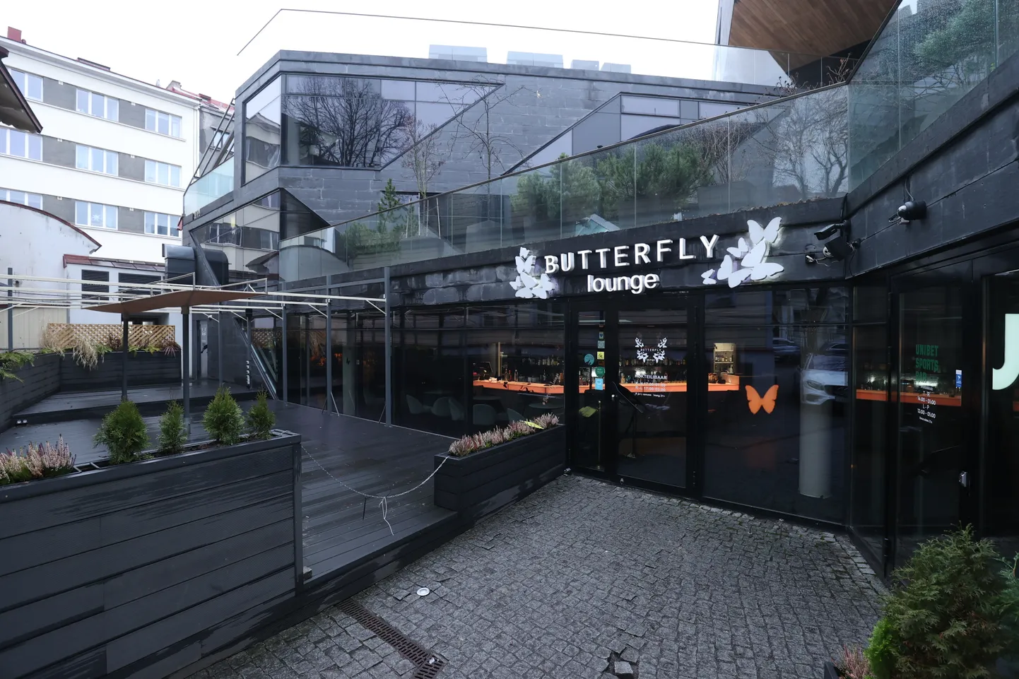 Бар Butterfly Lounge.