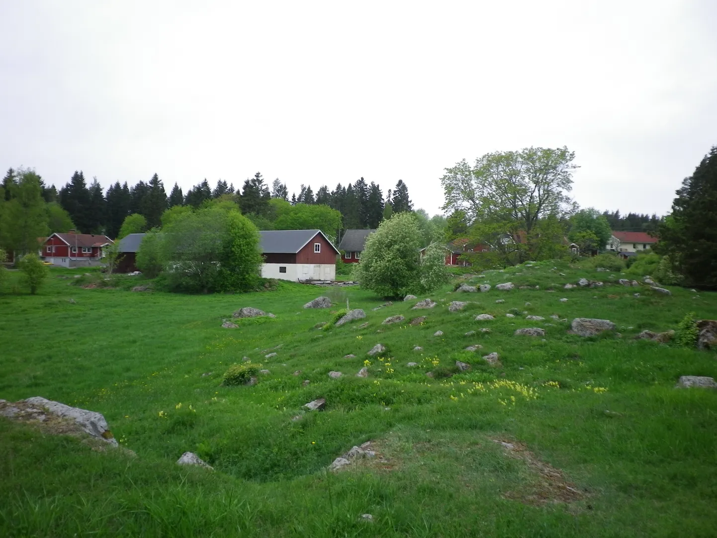 Raksta foto