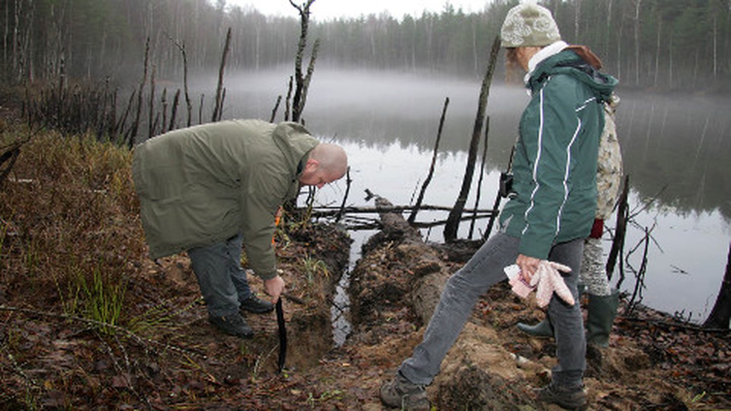 Ökoloogia instituudi järvede töörühma teadlased on juba peaaegu kolm aastat Kurtnas järvede veetaset mõõtnud; üha kahanevad numbrid annavad põhjust häirekella lüüa.