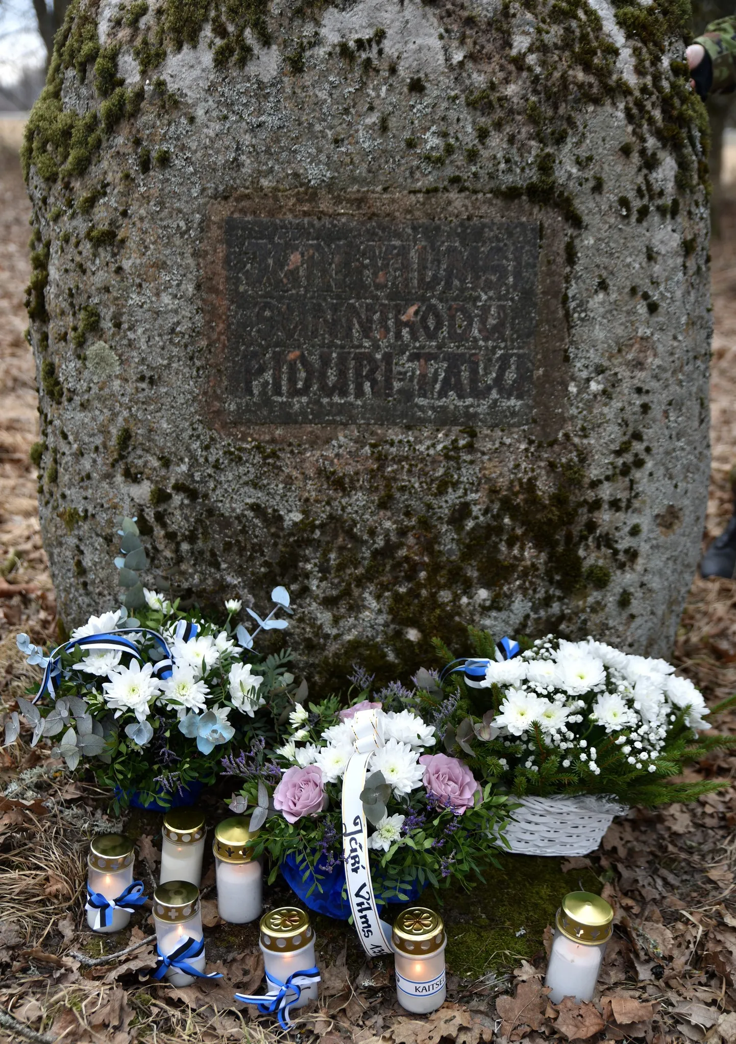 Jüri Vilms 135 Järvamaal